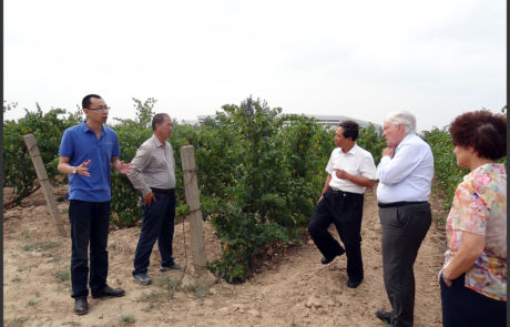 22 août 2013 - Yinchuan, chef-lieu de la région autonome hui du Ningxia